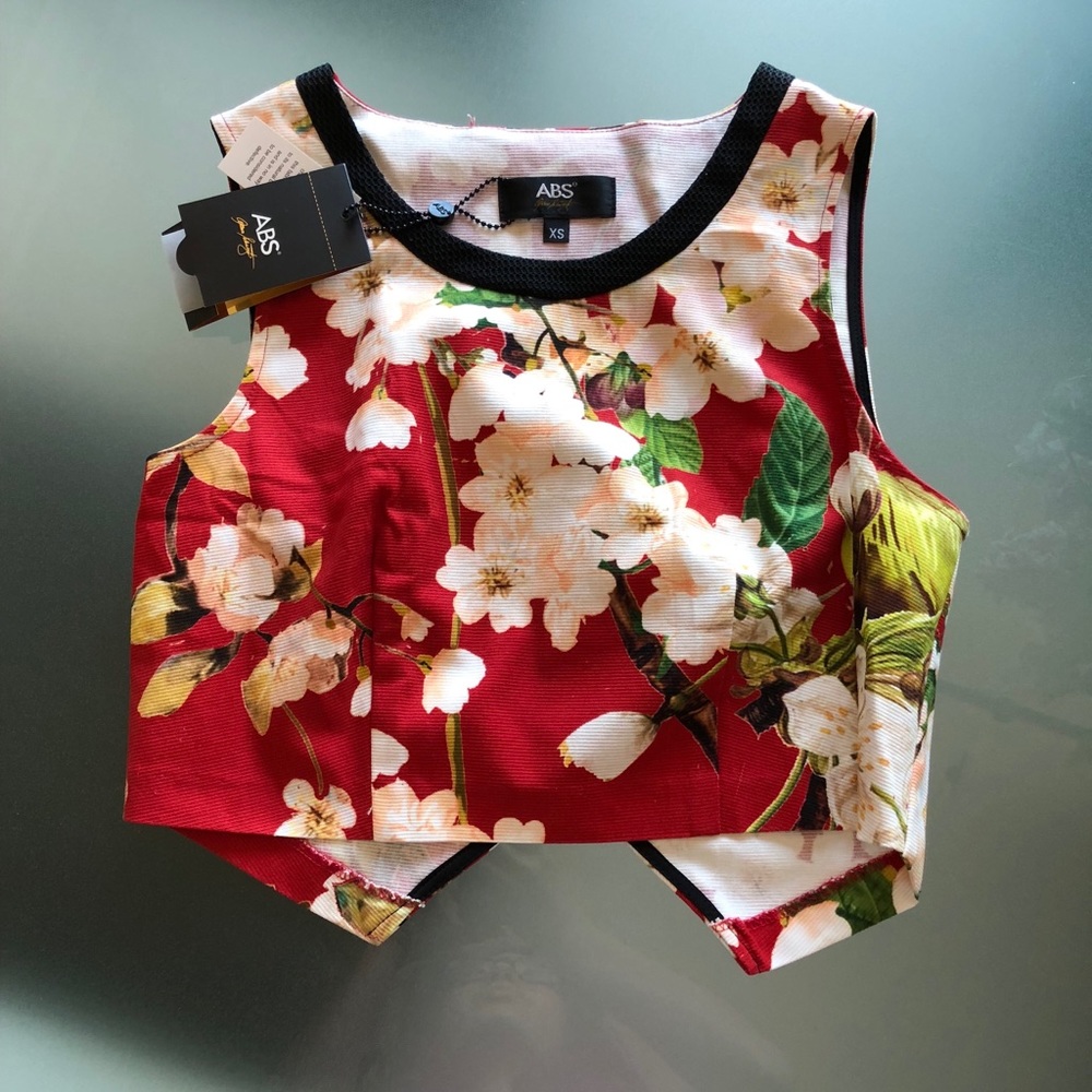Abs by Allen Schwartz Floral Crop Top in Red (XS)